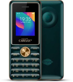 SAREGAMA Carvaan Mobile CM 181 with 1500 pre-loaded songs??(Emerald Green)