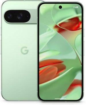 Google Pixel 9 (Wintergreen, 256 GB)??(12 GB RAM)